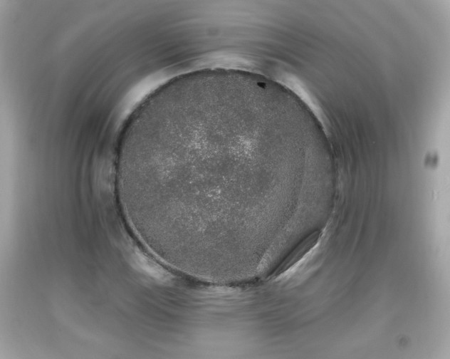 X0000092081115200709121439