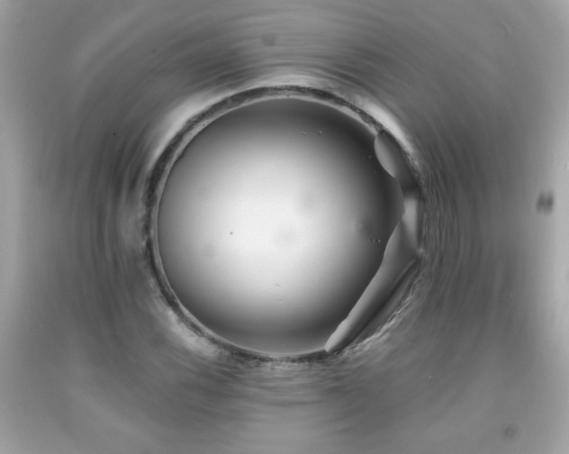 X0000092081116200709121439