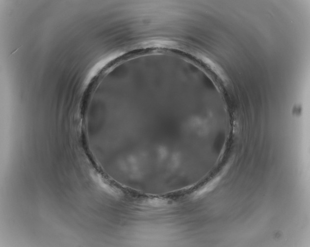 X0000092081117200709121439