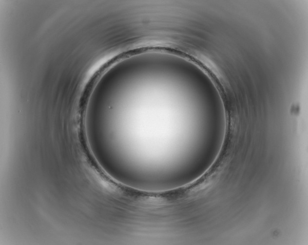 X0000092081119200709121439