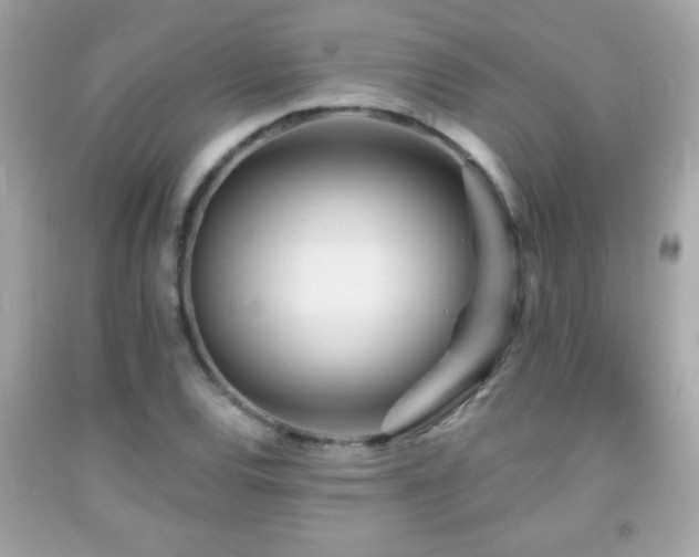X0000092081120200709121439
