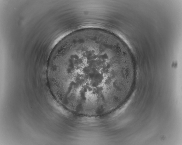 X0000092081121200709121439