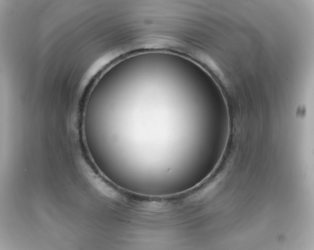 X0000092081122200709121439