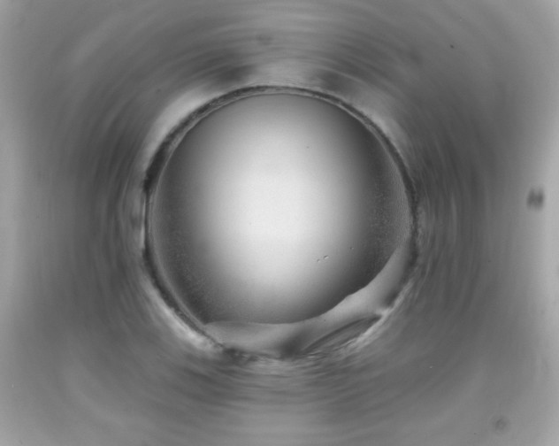 X0000092081123200709121439