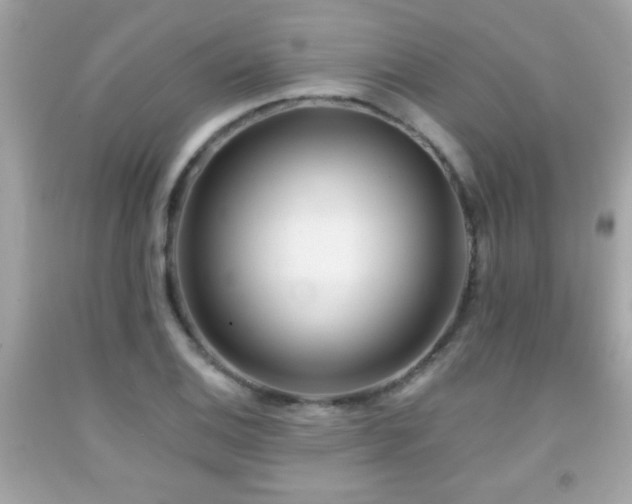 X0000092081124200709121439