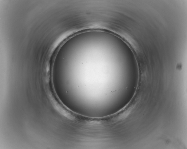 X0000092081126200709121439