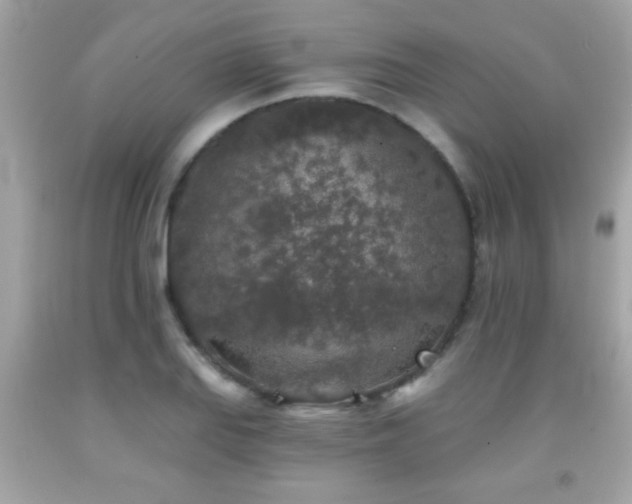 X0000092081127200709121439