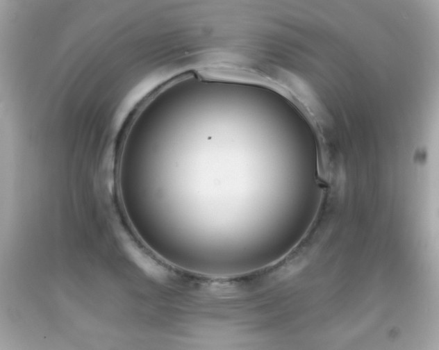 X0000092081128200709121439