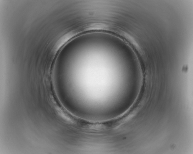 X0000092081129200709121439