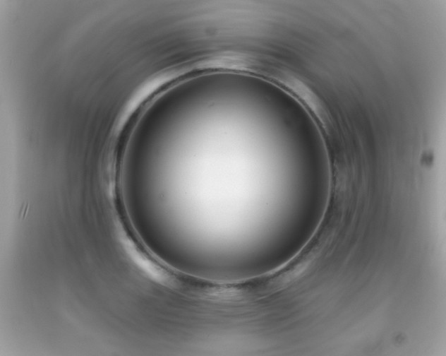 X0000092081131200709121439