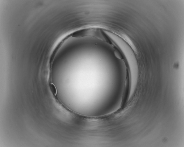 X0000092081132200709121439