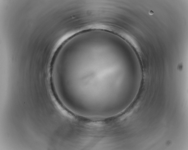 X0000092081133200709121439