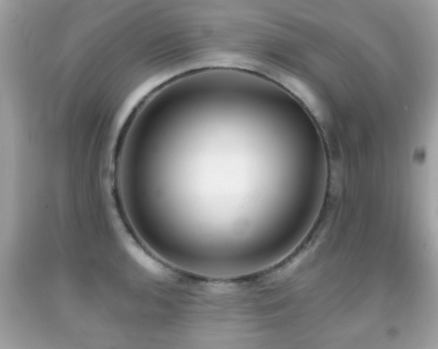 X0000092081136200709121439