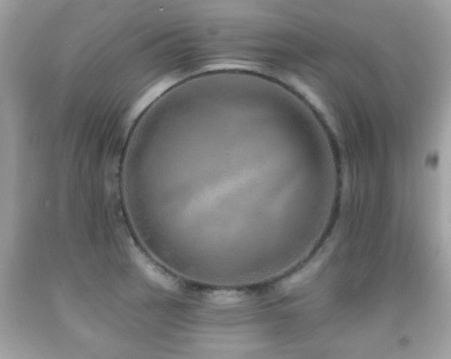 X0000092081137200709121439