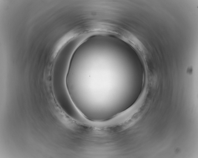 X0000092081138200709121439