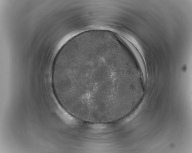 X0000092081141200709121439