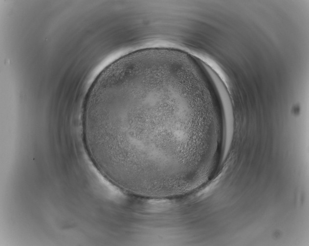 X0000092081142200709121439