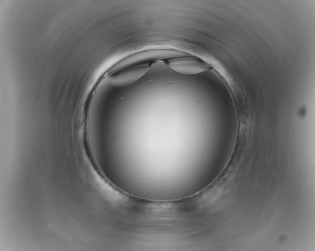 X0000092081143200709121439