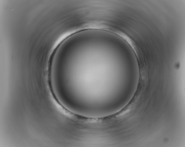 X0000092081147200709121439