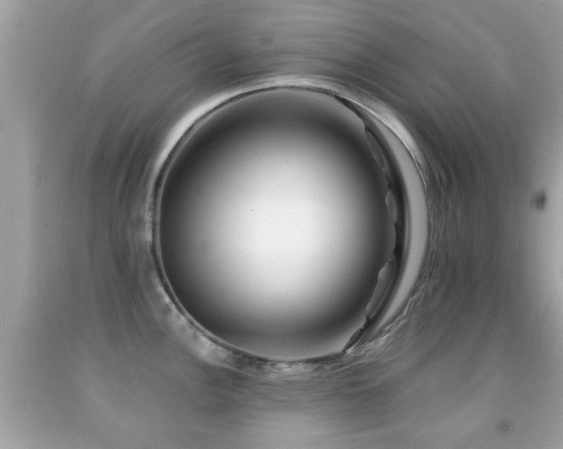 X0000092081148200709121439