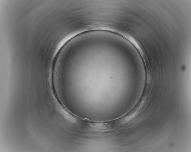 X0000092081149200709121439