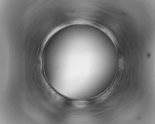 X0000092081150200709121439