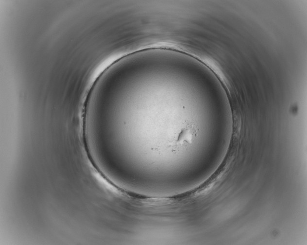 X0000092081151200709121439