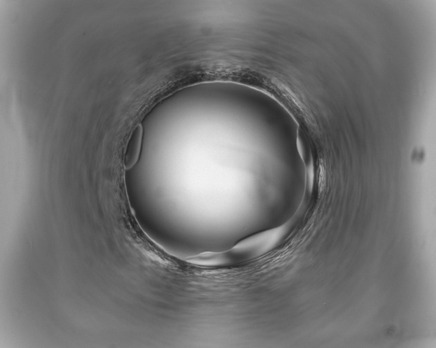 X0000092081153200709121438