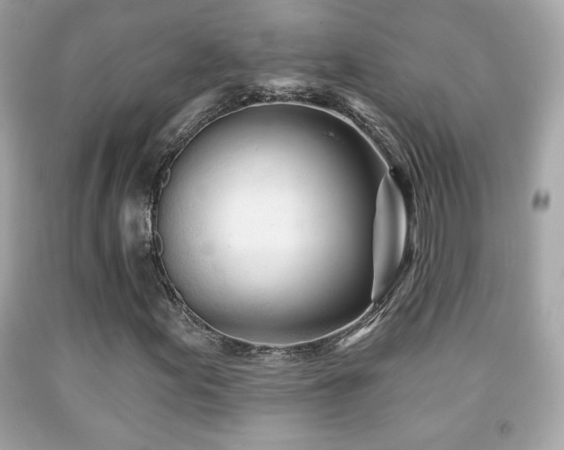 X0000092081155200709121438