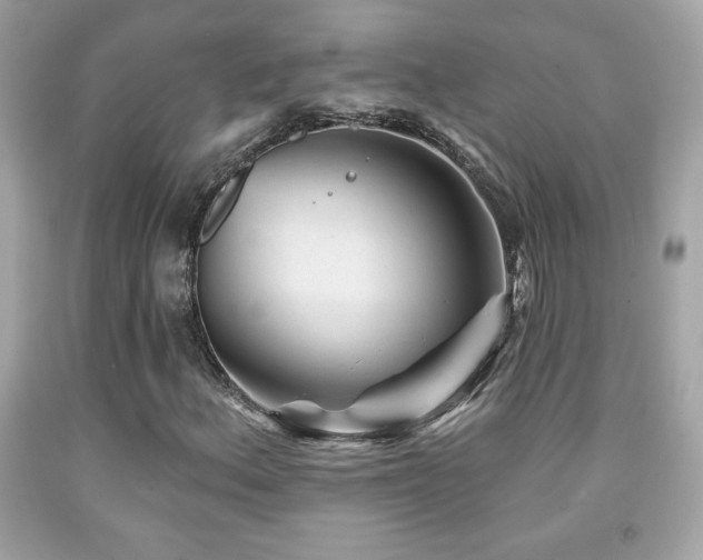 X0000092081156200709121438