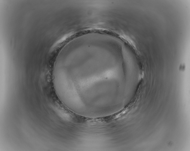 X0000092081159200709121438