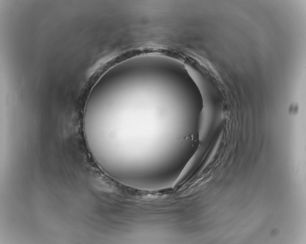 X0000092081160200709121438