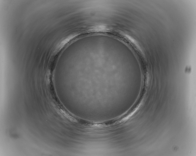 X0000092081161200709121438