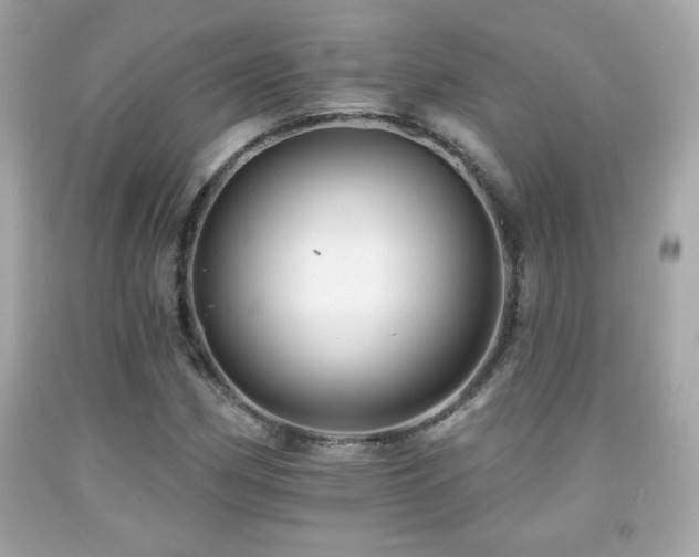 X0000092081162200709121438
