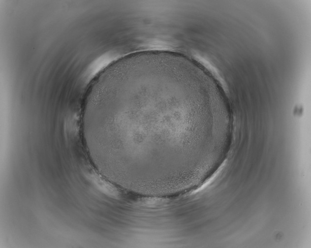 X0000092081163200709121438
