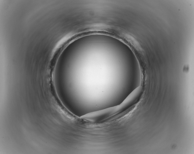 X0000092081164200709121438