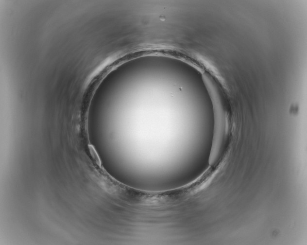 X0000092081165200709121438