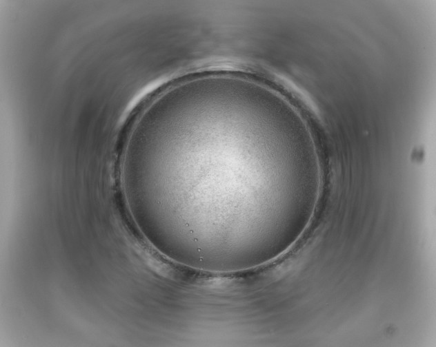 X0000092081166200709121438