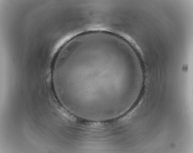 X0000092081167200709121438