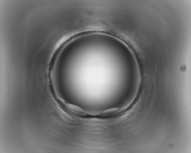 X0000092081168200709121438