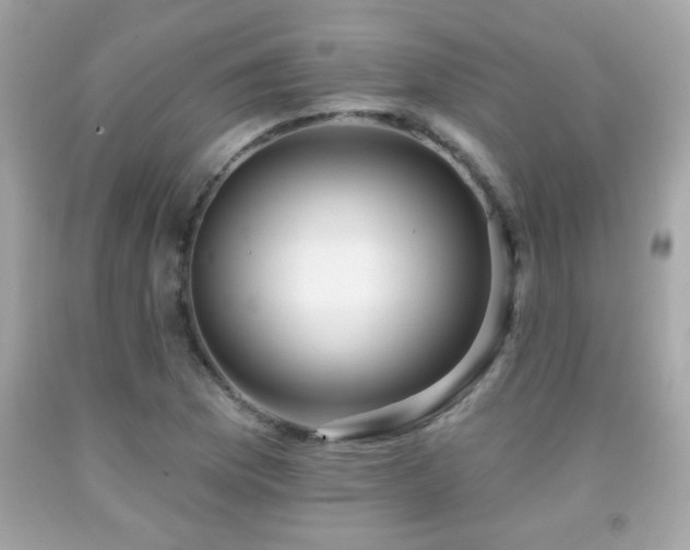 X0000092081169200709121438