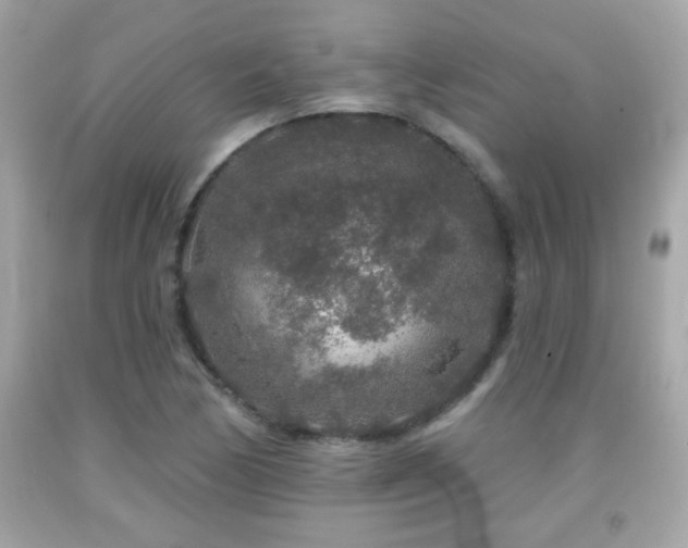 X0000092081170200709121438