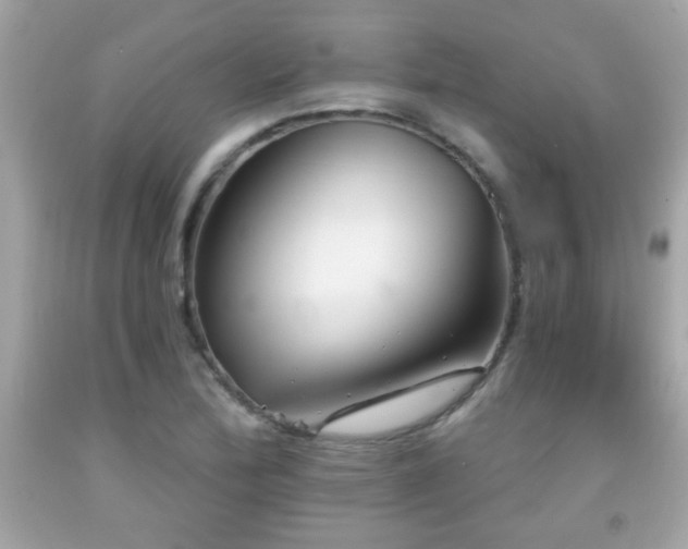 X0000092081172200709121438