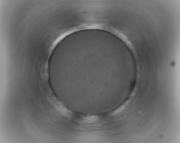 X0000092081174200709121438