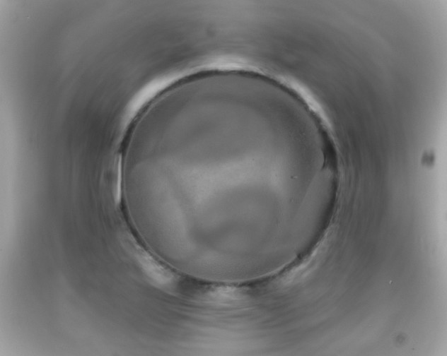 X0000092081175200709121438