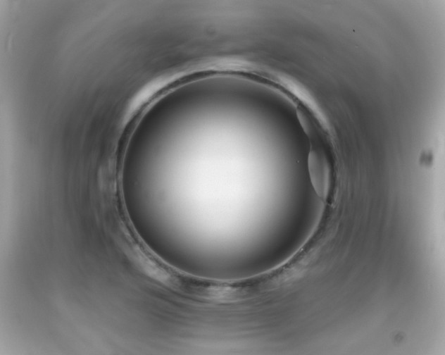 X0000092081176200709121438