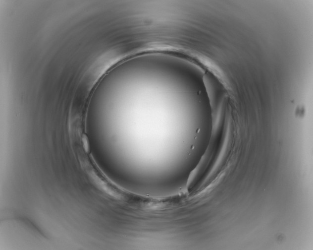 X0000092081177200709121438