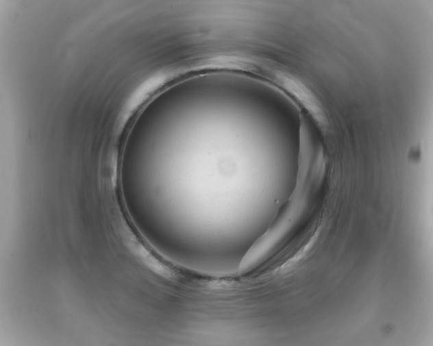 X0000092081180200709121438