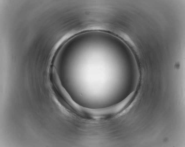 X0000092081181200709121438