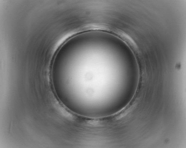 X0000092081182200709121438